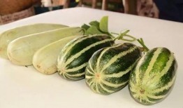 网红吃瓜最新爆料图片,揭秘娱乐圈惊人内幕！